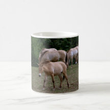 Los caballos de Przewalski Taza