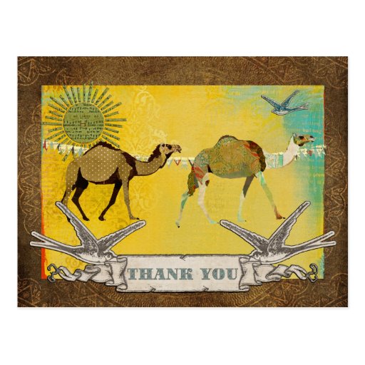 Los camellos soñadores de oro le agradecen postal
