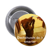 Los Dachshunds lo hacen más elegante Pin