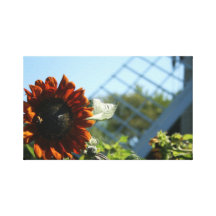 Los días del girasol envolvieron la lona horizonta impresión en lienzo estirada