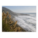 Los E.E.U.U., California, costa de Mendocino Postal