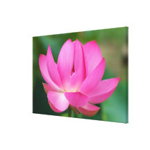 LOS E.E.U.U.; Carolina del Norte; Flor de Lotus Impresiones En Lona