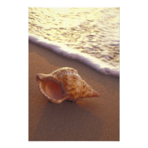 Los E.E.U.U., Hawaii, Maui, Kihei, igualando la lu Arte Fotografico