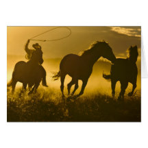 Los E.E.U.U., Oregon, Seneca, rancho de Ponderosa Felicitaciones
