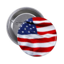 LOS E.E.U.U. PINS