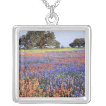 Los E.E.U.U., Tejas, Llano. Bluebonnets y redbonne Grimpola Personalizada