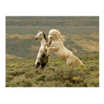 Los E.E.U.U., Wyoming, el condado de Carbon. Dos s Postales