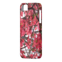 Los flores del membrillo dan a primavera una explo iPhone 5 Case-Mate cobertura