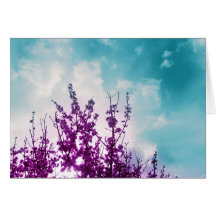 los flores felicitación