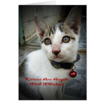 Los gatitos son ángeles con las barbas felicitación