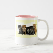 los gatitos, tengo una aversión a los sapos que ll taza de café