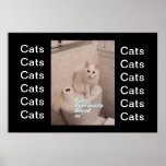los gatos mezclan adentro el poster