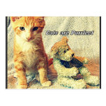 Los gatos son postal de Purrfect