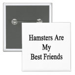 Los hámsteres son mis mejores amigos pin