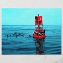 Los leones marinos en puerto buoy, Ventura, Califo Tarjetas Informativas