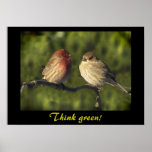 Los Lovebirds piensan verde Impresiones