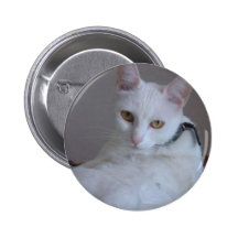 Los mascotas de Owo: Pitusa Pin