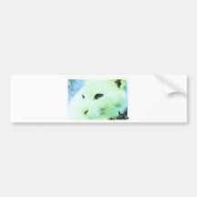 Los ojos de gato están cautivando tan pegatina de parachoque