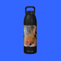 Los ojos del ángel botellas de agua