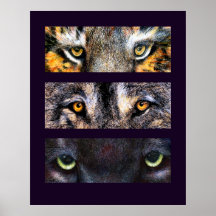 Los ojos lo tienen, poster