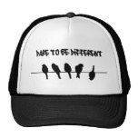 Los pájaros en un alambre - atrévase a ser diferen gorra