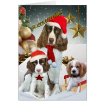 Los perros de aguas de saltador inglés traen salud felicitacion 