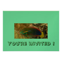 ¡Los pescados del Wrasse, le invitan! Comunicados