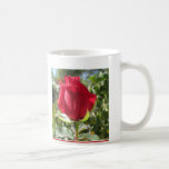 Los rosas son rojos tazas de café