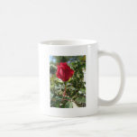 Los rosas son taza roja del el día de San Valentín