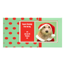 Los saludos de la estación del perro tarjetas fotograficas personalizadas