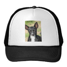 Los Squeakers de la esperanza pasada Gorras