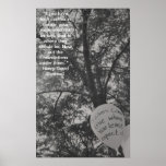 Los sueños suceden posters