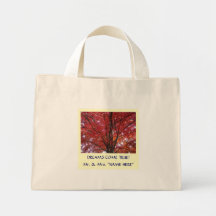 ¡Los sueños vienen verdad! Otoño de la bolsa de as