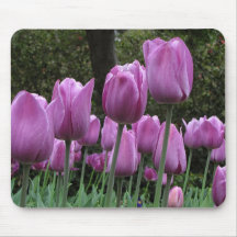 Los tulipanes de Helaine Tapetes De Raton