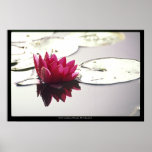 loto poster