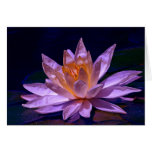Lotus colorido felicitacion 