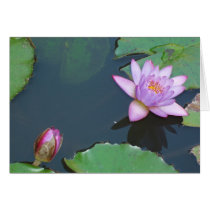 Lotus Floers tarjetas