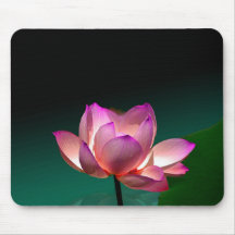 Lotus magenta en la plena floración, mousepad