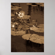 Lotus Poster