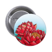 Lotus rojo pins