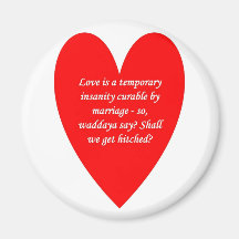 love-is-a-temporary-insanity-curable-by-01 imán de nevera