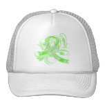 Lucha de la enfermedad de Lyme como un Flourish de Gorro De Camionero