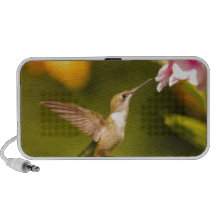 Lucha del colibrí altavoces de viaje