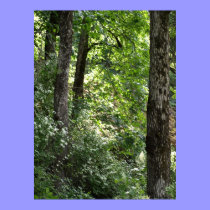Lugar del verde posters