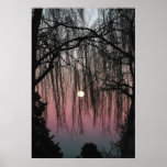 Luna a través de la fotografía de los árboles impresiones