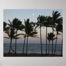 Luna Llena de la orilla del este de Kauai Poster