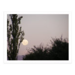 Luna Llena Tarjeta Postal