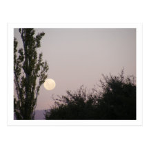 Luna Llena Tarjeta Postal