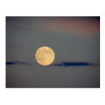 Luna Llena Tarjeta Postal