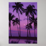Luna y palmera posters